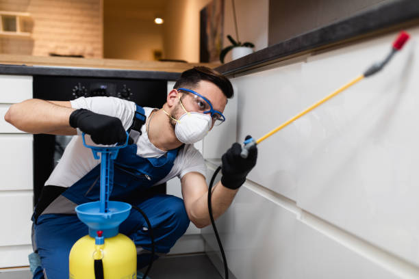 Best Affordable Pest Control Services  in Scotts Valley, CA
