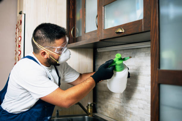 Best Cockroach Control Services  in Scotts Valley, CA