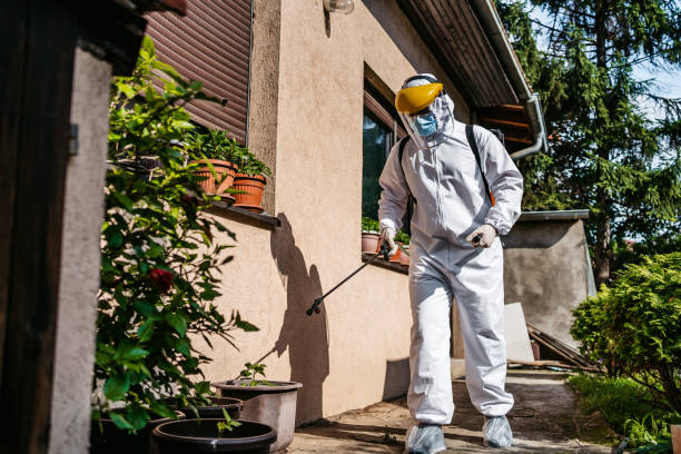 Best Exterminator Services  in Scotts Valley, CA