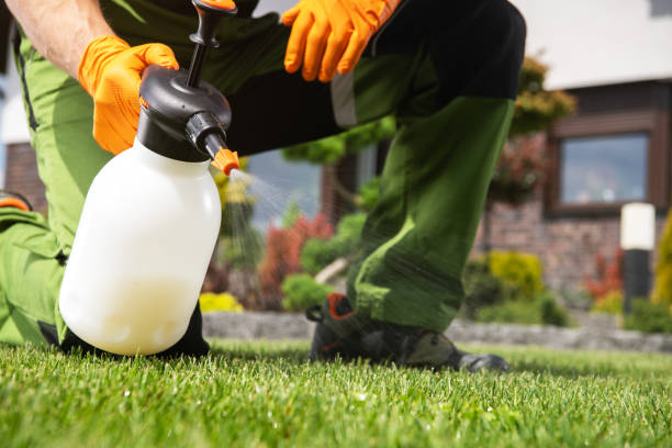 Best Rat Extermination Near Me  in Scotts Valley, CA