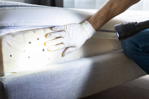 Best Commercial Pest Control Services  in Scotts Valley, CA
