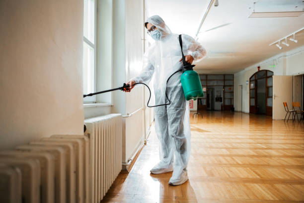 Best Ant Control Services  in Scotts Valley, CA
